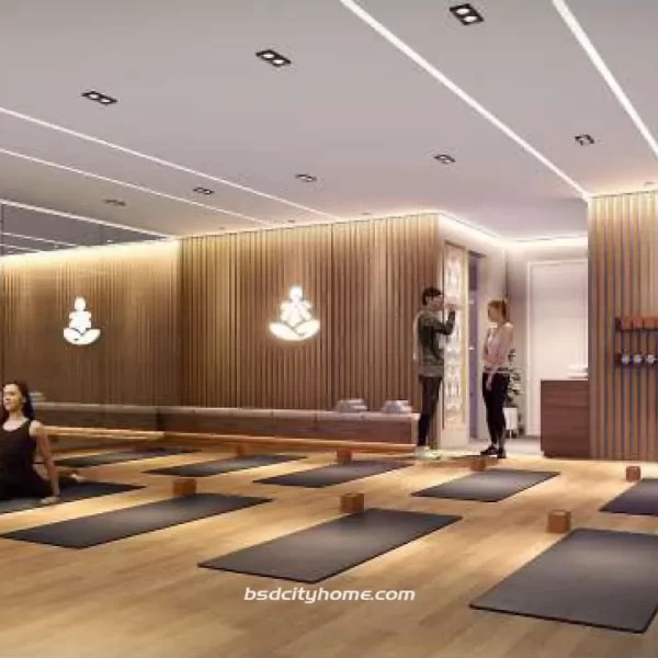 North Point 2 BSD Yoga Room
